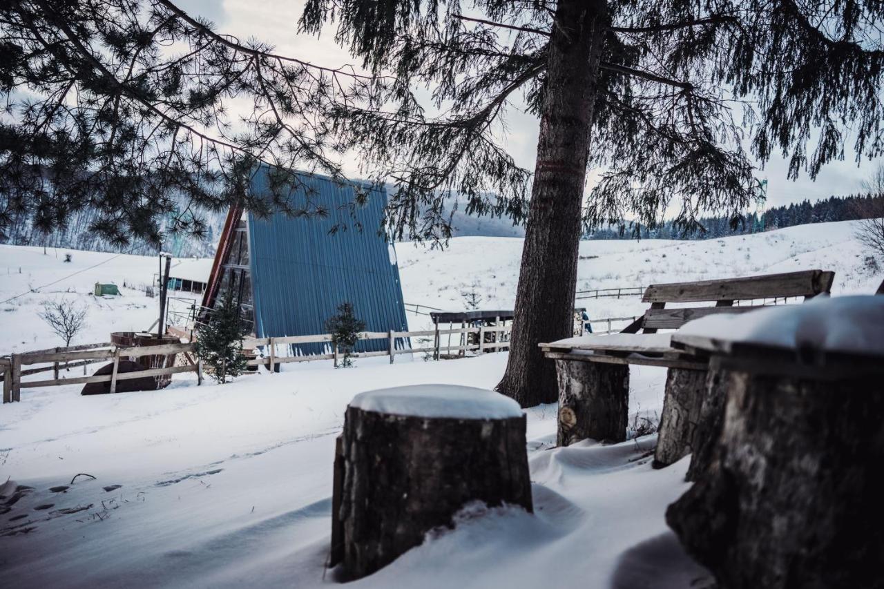 Casuta Mea Villa Piatra Neamţ Exterior foto